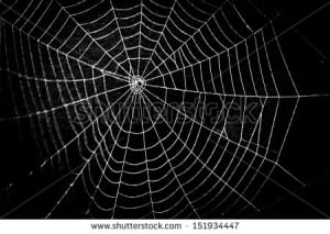 stock-photo-pretty-scary-frightening-spider-web-for-halloween-151934447